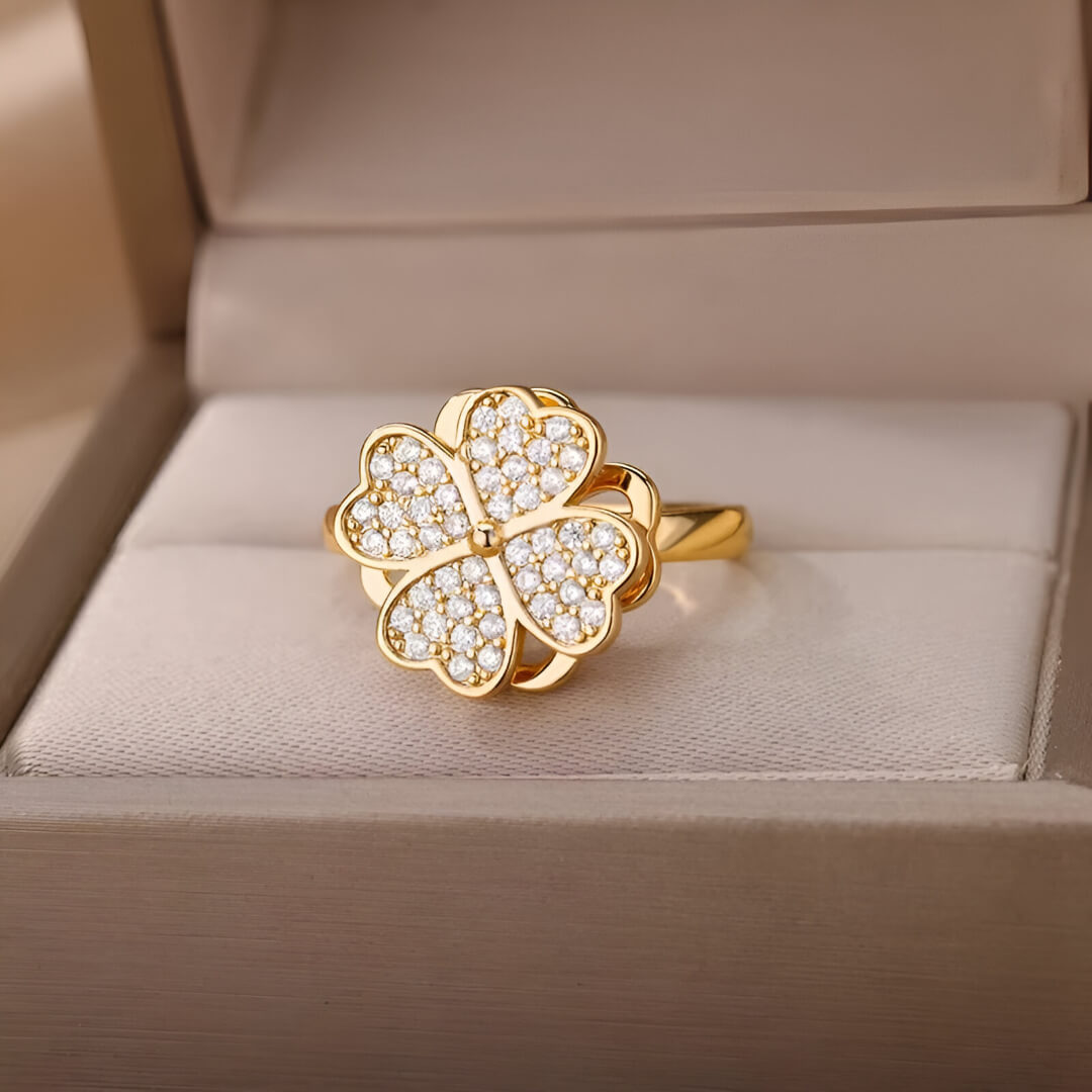 Bague rotative en acier doré et oxydes de zirconium vue de face dans son écrin.