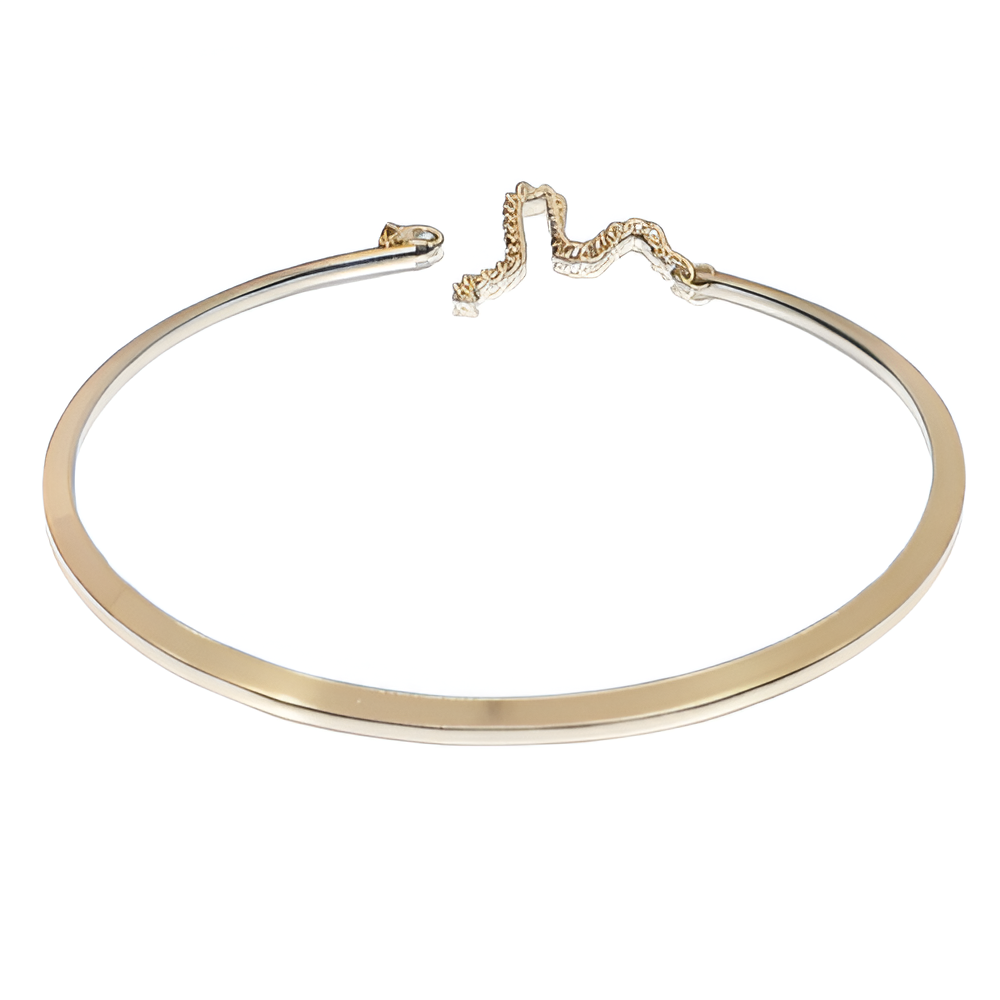 COLLIER RIGIDE LAME