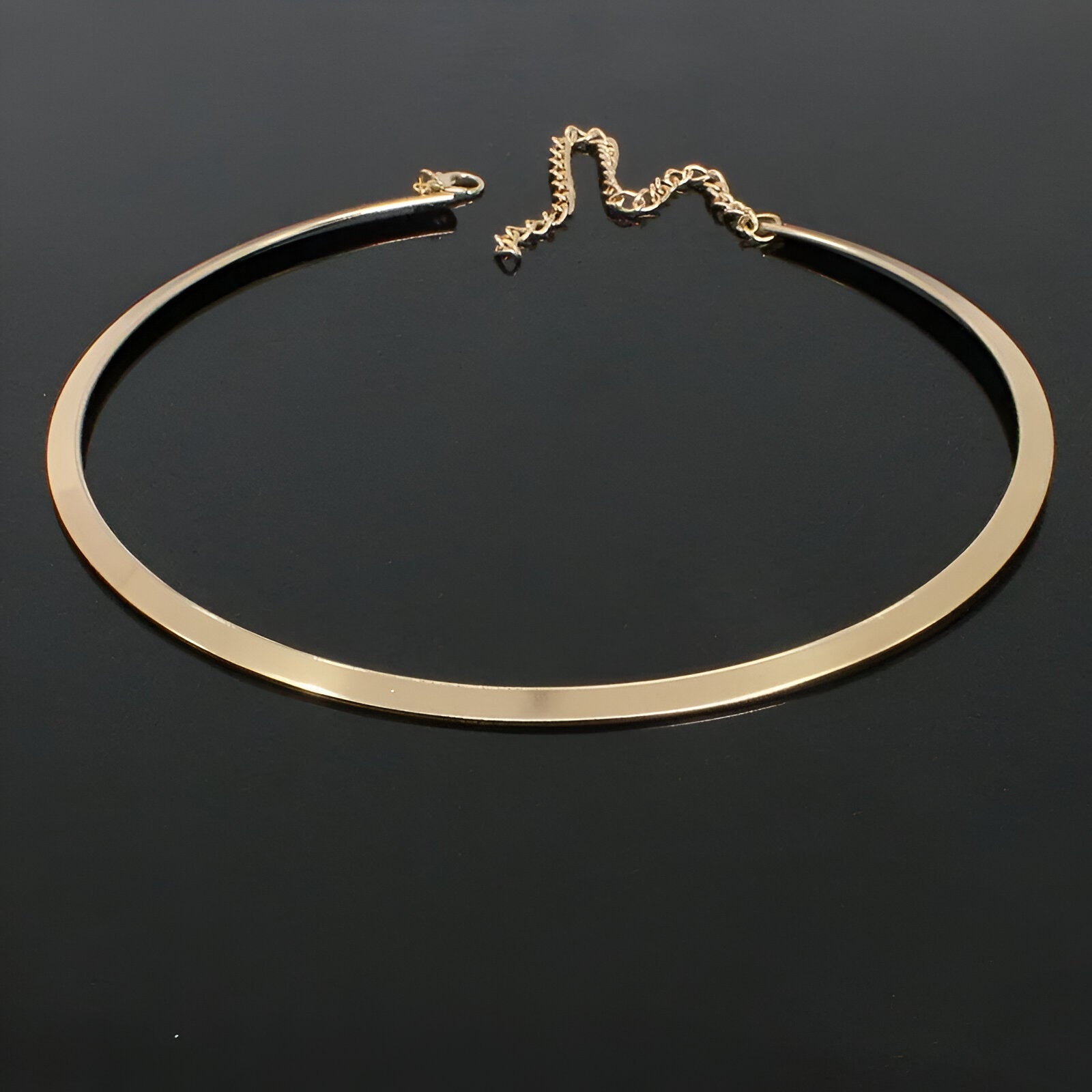 COLLIER RIGIDE LAME