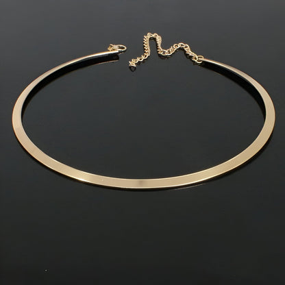 COLLIER RIGIDE LAME