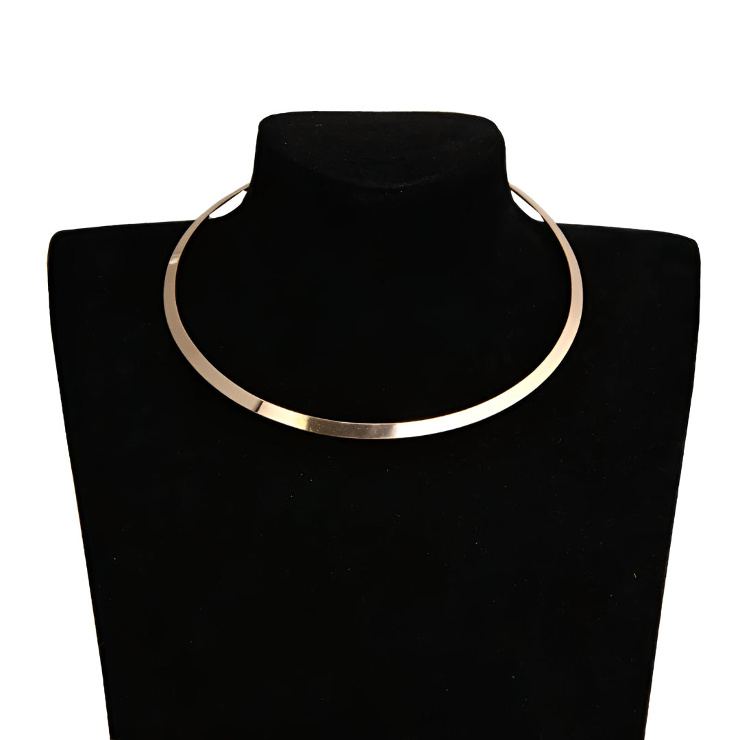 COLLIER RIGIDE LAME